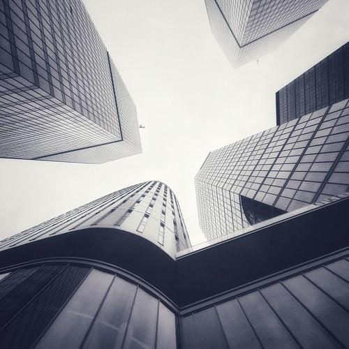 Photo #5456237