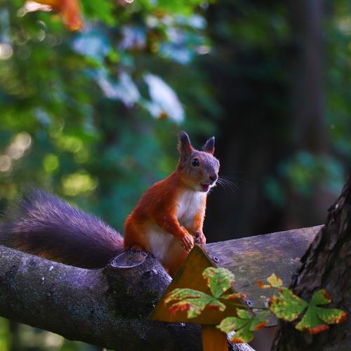 Photo #5456431