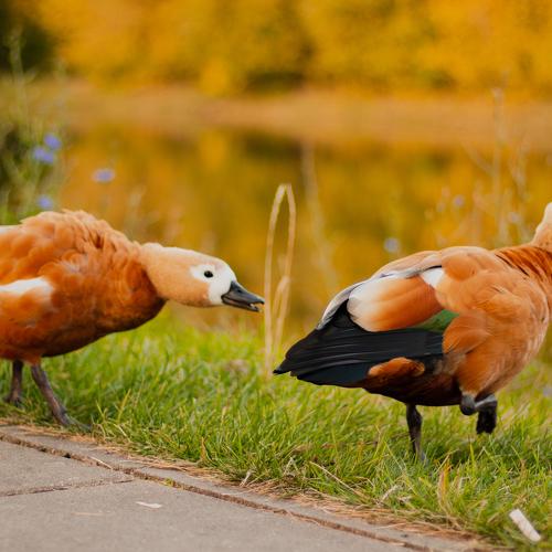 Photo #5456456