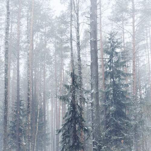Метель.