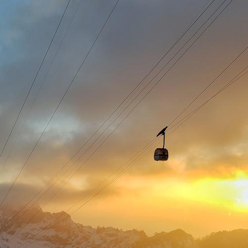 Photo #5456663