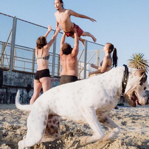 Photo #5457026