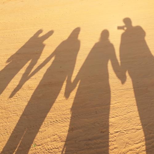 shadows