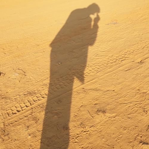 Photo #5457514