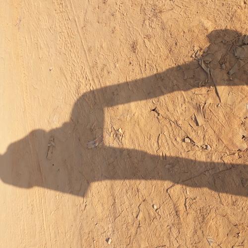 Photo #5457521