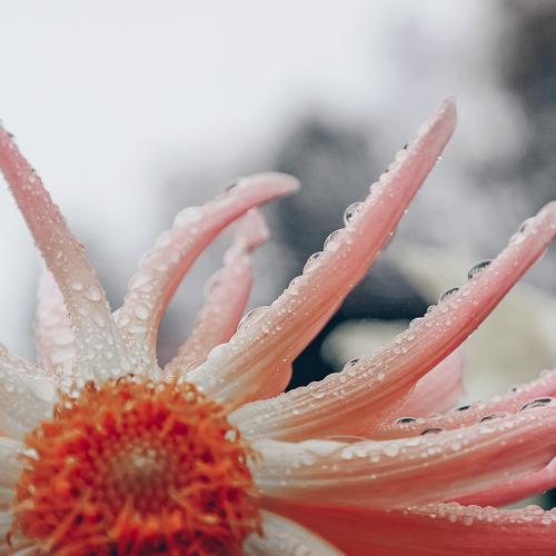 Photo #5457555