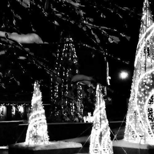 Photo #5457706
