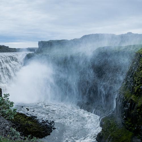 Photo #5458346