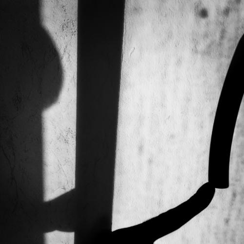 Photo #5458715