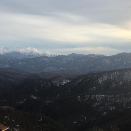 Photo #5458796
