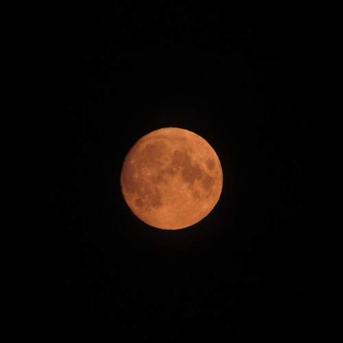 Photo #5459241