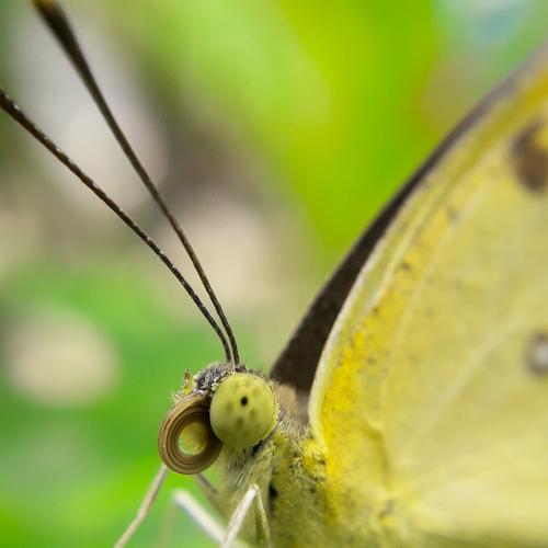 Photo #5459597