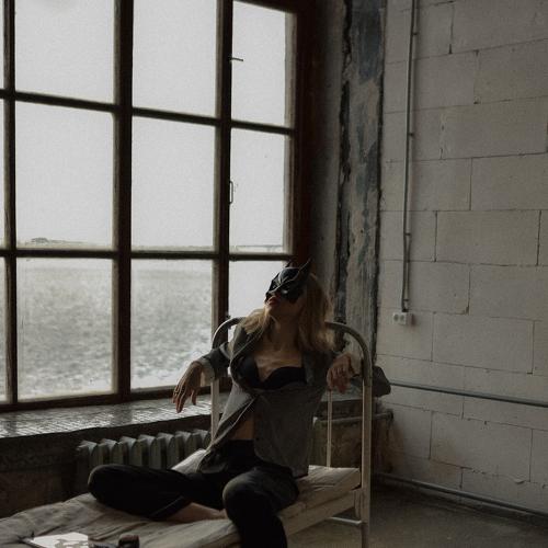 Photo #5459676