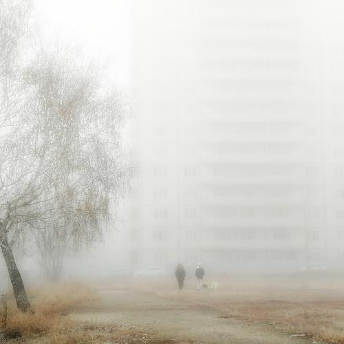 Утро туманное
