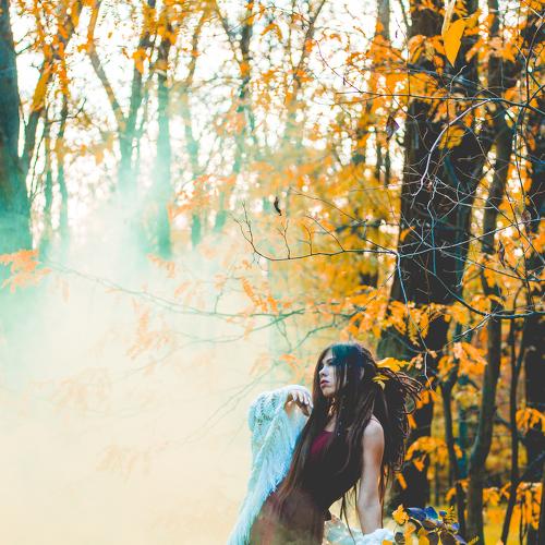 Photo #5460040