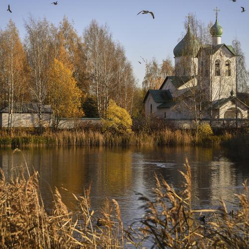 Photo #5460142
