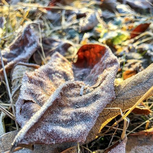 Photo #5460183