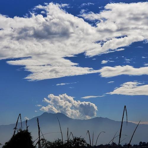Photo #5461058