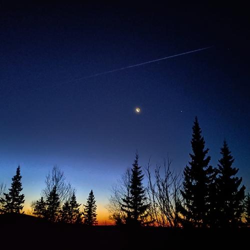 Photo #5461114