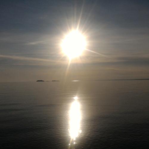 Photo #5461202