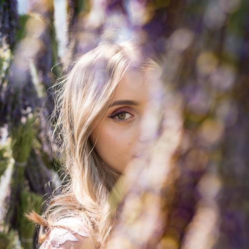Photo #5461360