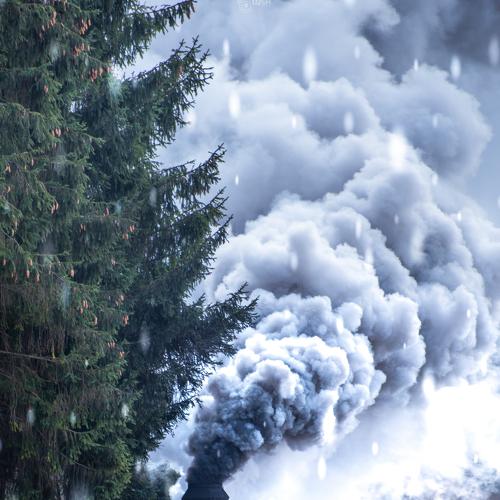 Photo #5461403