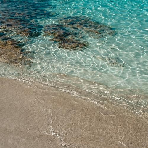 Photo #5461441