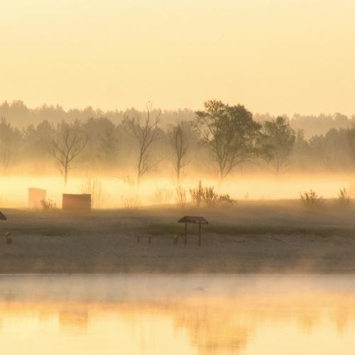 Photo #5461555