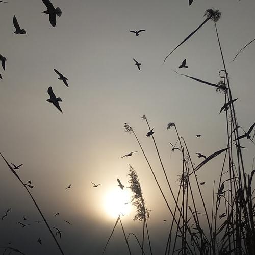 Photo #5461684