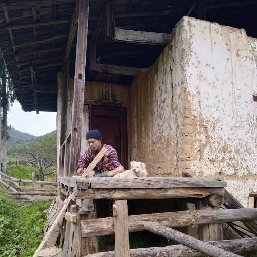 Photo #5462114