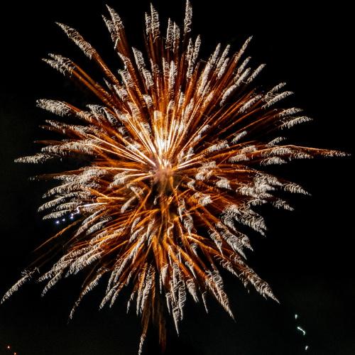 Photo #5462294