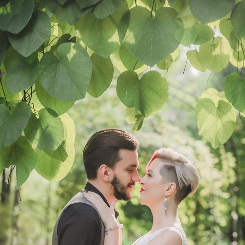 Photo #5462453