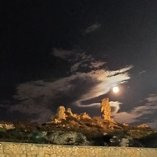 Photo #5462994