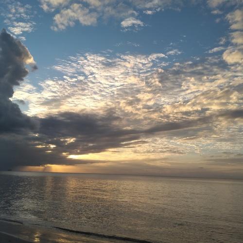 Photo #5463198