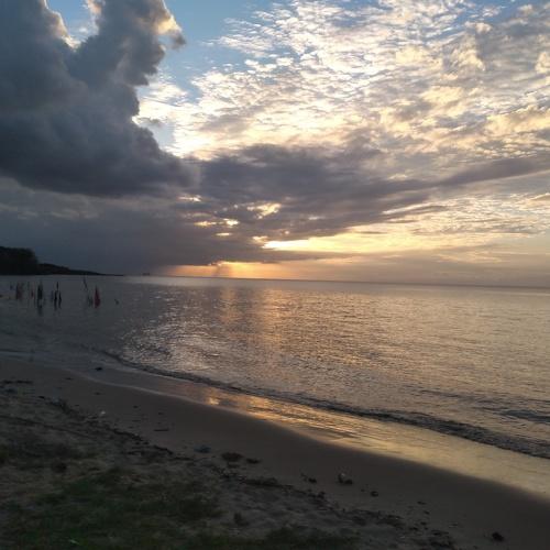 Photo #5463199