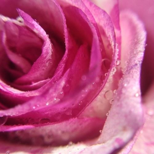 Photo #5463637
