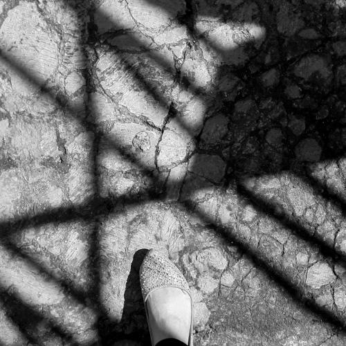 Photo #5463721