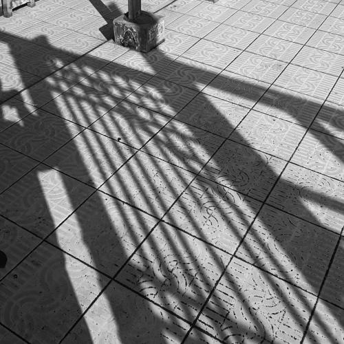 My shadow