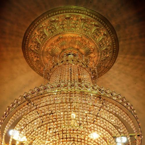 Photo #5463790