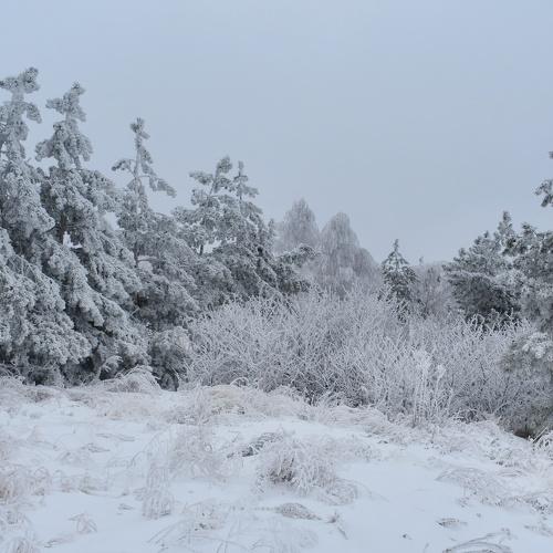 Photo #5463807