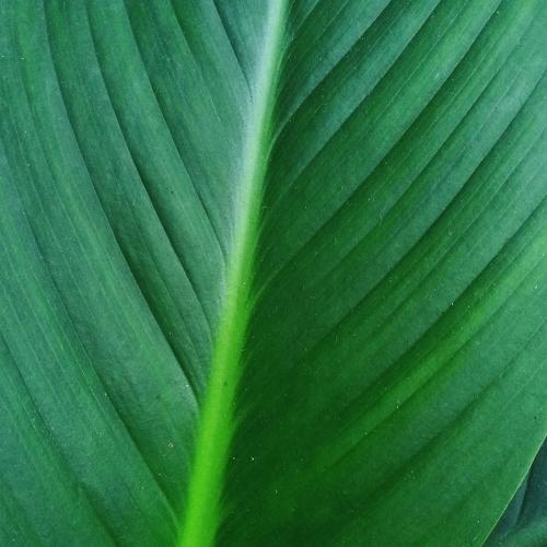 Photo #5463924