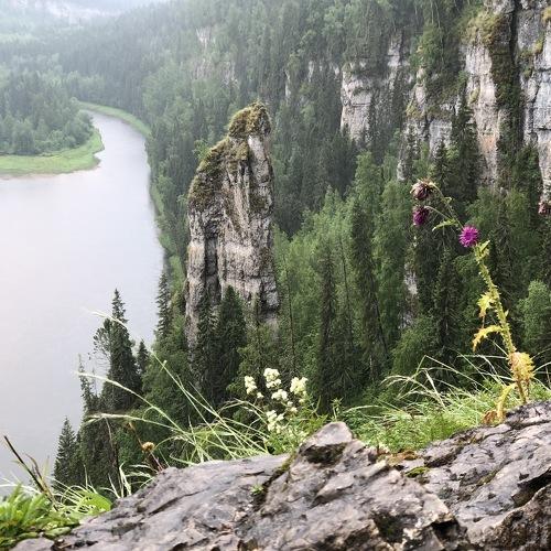 Photo #5464004