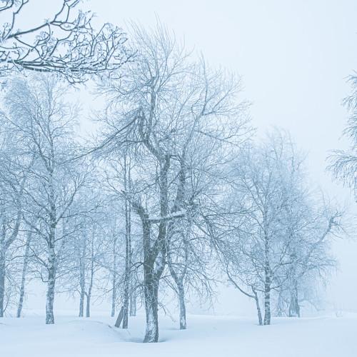 Photo #5464972
