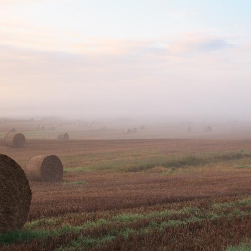 Photo #5465112