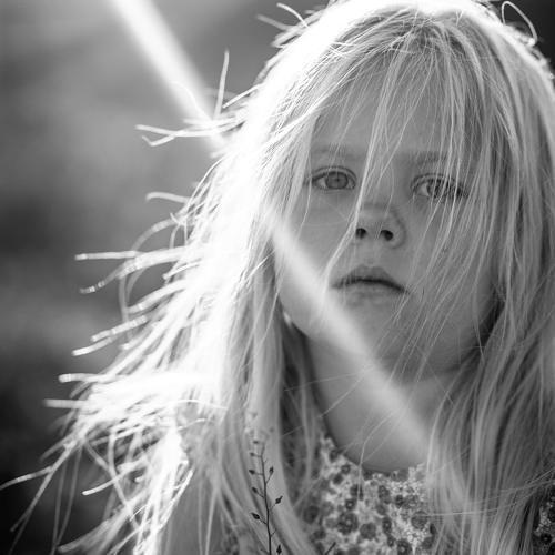 Photo #5465307