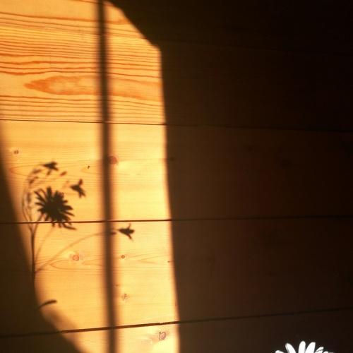 Photo #5465671