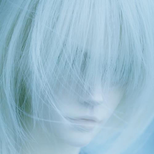 Photo #5465822