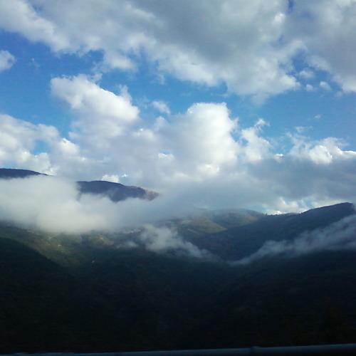 Photo #5465929