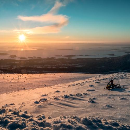 Photo #5466016