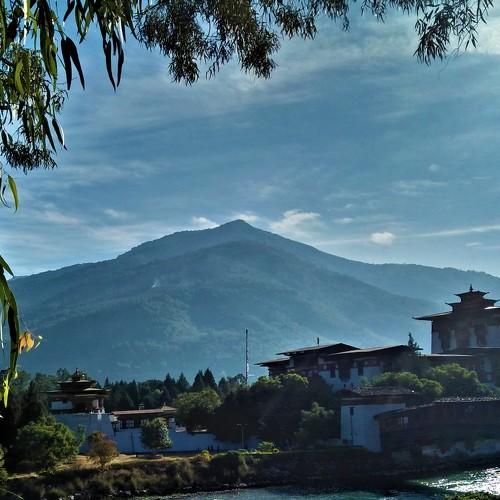 Photo #5466106